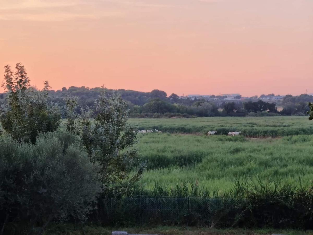 Gites De L'Estagnol Villeneuve-lès-Maguelonne Esterno foto